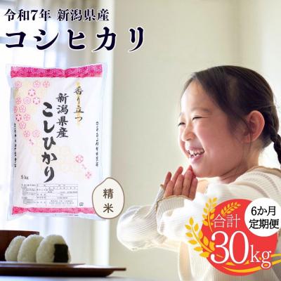 ふるさと納税 三条市 [定期便] 新潟県産コシヒカリ 5kg 6か月 精米 令和7年産【038S006】