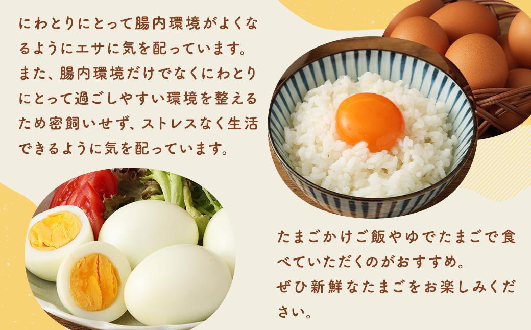 【 3回 定期便 】 王様の大好物 たまご 30個×3回 ( 25個＋破卵保障5個 ) 福岡県産 国産 にわとり 卵かけご飯 