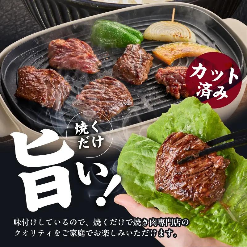ガツめし牛ハラミ 600g 追いダレ漬け