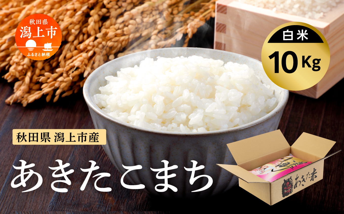 《先行予約》令和8年産 新米 あきたこまち 10kg 精米 直送 米 お米 こめ おこめ コメ コスパ ブランド米 産地直送 贈り物 プレゼント おいしい お米 秋田こまち 秋田県潟上市 【鎌仁商店】