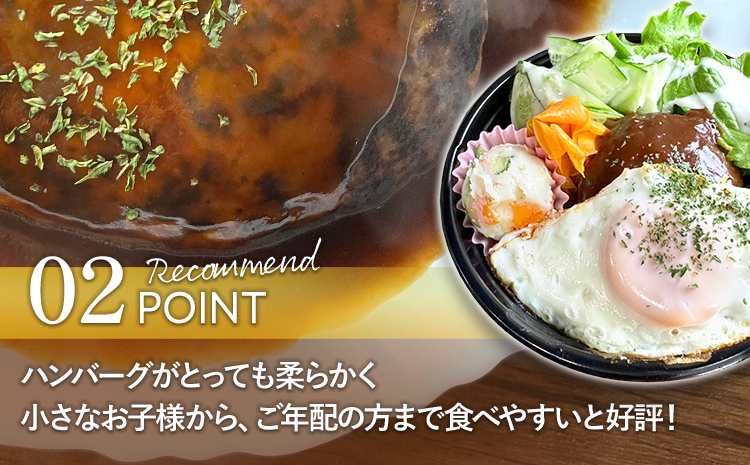 【定期便】 手捏ね デミグラス ハンバーグ （合計4回） ハンバーグ 手ごね デミグラス 国産 晩御飯 おかず お弁当 冷凍 合挽 レンジ 温めるだけ レンチン 湯銭 福岡 お土産 九州 福岡土産 福