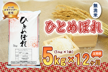 米 定期便 12ヶ月 ひとめぼれ 無洗米 5kg お米 精米 白米 こめ コメ おこめ ごはん お米マイスター 推奨 ブランド米 常温 国産 岩手県 岩手 盛岡市産 定期 お楽しみ 12回