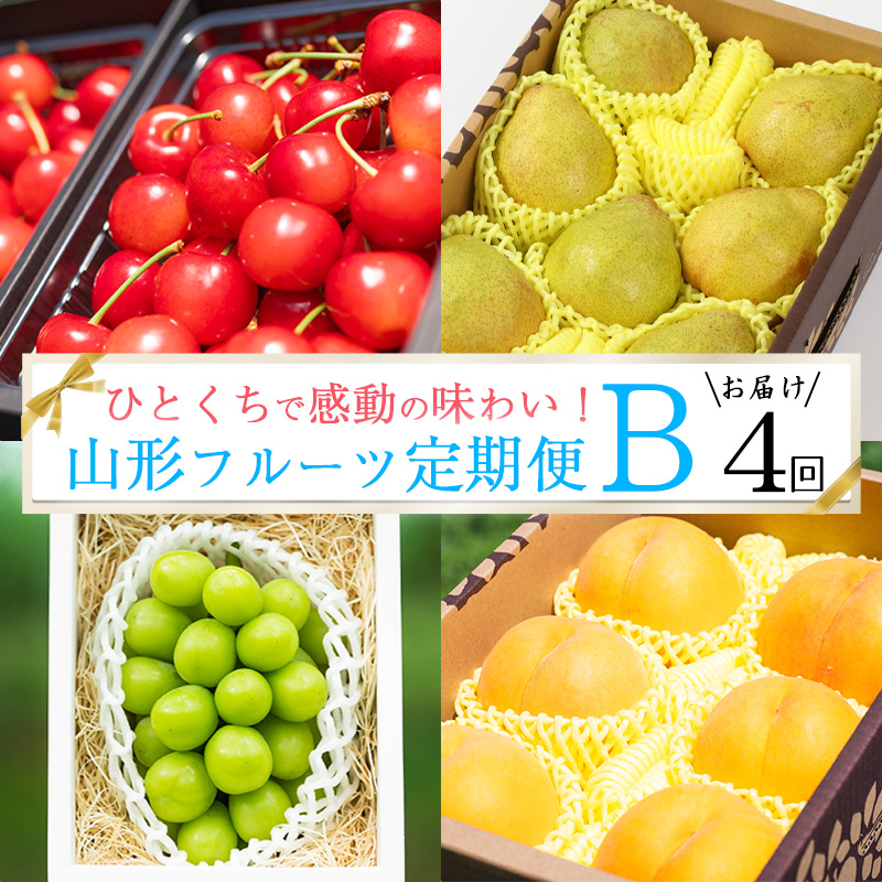 《先行予約》特秀品Bコース【定期便4回】フルーツ定期便 さくらんぼ 紅秀峰 黄桃  シャインマスカット 洋梨 ラネージュ 令和8年産 山形県産【2026年6月中旬頃から発送開始予定】※配送不可 沖縄・離島　078-B-AF029