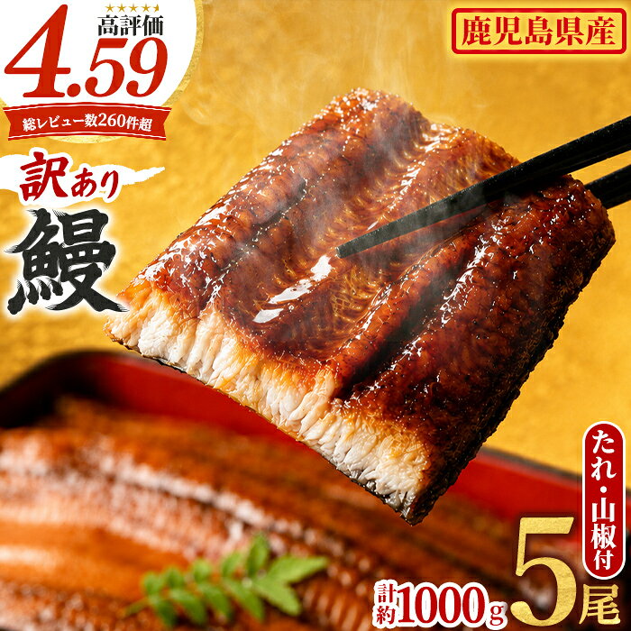 入金確認後、2週間程度でお届け！＜訳あり＞東串良町のうなぎ蒲焼(無頭)(5-7尾・計約1kg・タレ、山椒付)うなぎ生産量日本一の鹿児島県！国産で安心！豊富な地下水で育った鰻の蒲焼き！【アクアおおすみ】