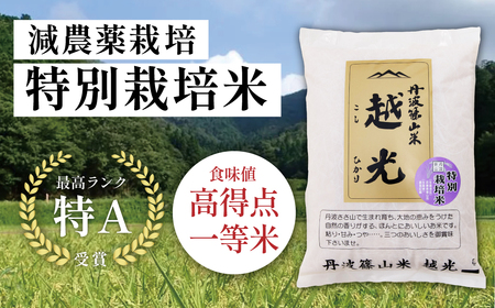 定期便 コシヒカリ 特別栽培米【 5kg 6回 】定期便