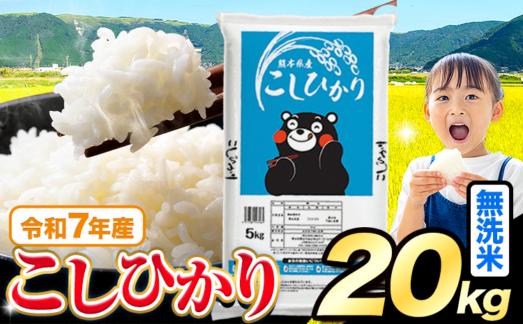 令和7年産 米 無洗米 こしひかり 20kg《7-14日以内に出荷予定(土日祝除く)》熊本県産 ふるさと納税 無洗米 ひの 米 こめ ふるさとのうぜい コシヒカリ コメ お米 おこめ---reihoku_loc_678_20kg---