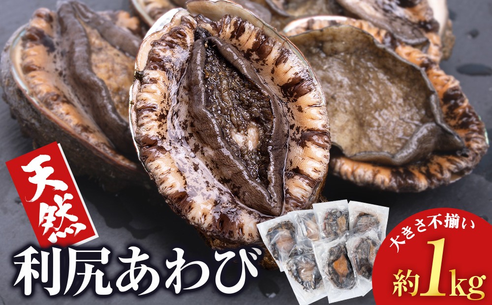 
                  北海道 利尻島産 ☆天然利尻あわび 1kg☆ 北海道 あわび 鮑 刺身
                