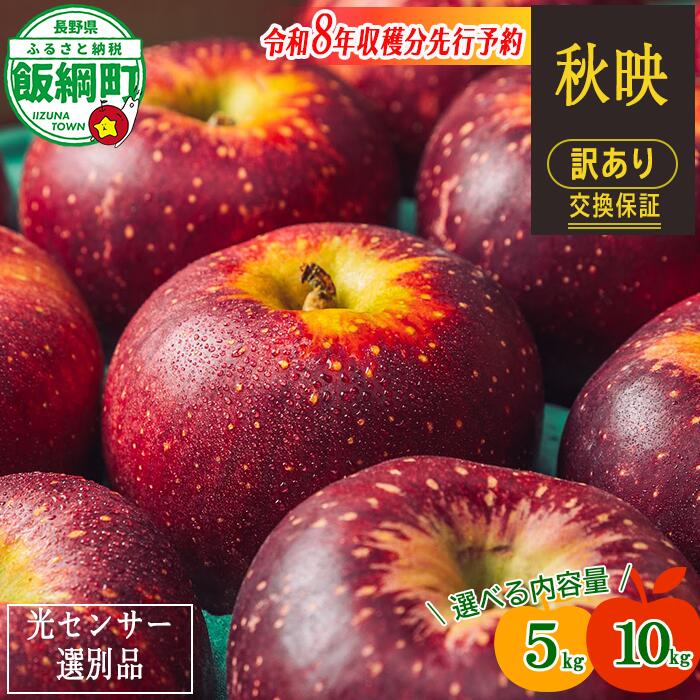 【ふるさと納税】〈令和8年収穫分先行予約〉 りんご 信州 訳あり 果物 10kg 5kg 秋映 長野 交換保証 感謝りんご 光センサー くだもの 不揃い 規格外 傷あり 家庭用 フルーツ 12000円 20000円 あきばえ 10月発送 2026年10月上旬頃~2026年10月下旬頃発送予定 長野県 飯綱町