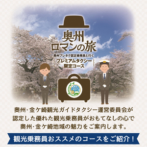 胆江地区タクシー乗車券 5,000円分(金券) [BA006]