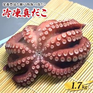 冷凍真だこ 約1.7kg たこたこたこ たこ焼き
