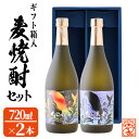 【ふるさと納税】【数量限定】大海酒造麦焼酎 ギフト箱入り2種セット＜くじらの白麦・くじらの黒麦＞25度(計2本・720ml×各1本)焼酎 麦焼酎 麦 酒 水割り お湯割り ロック 大海酒造 くじらの白麦 くじらの黒麦 飲み比べ セット 鹿児島【そつや きたかた】A1-3336