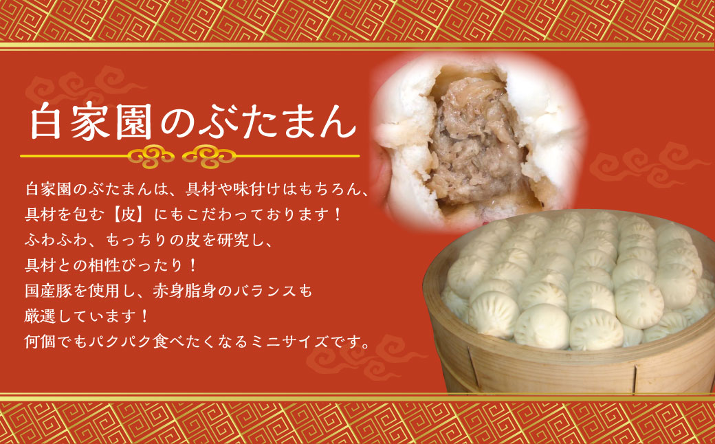 【詰め合わせ】ぶたまん20個×焼餃子10個×焼小籠包8個 中華 豚まん 餃子 ぎょうざ ギョーザ 小籠包 惣菜