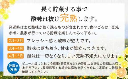 先行予約 熊本大見柑 (不知火) 訳あり 9.5kg (25～50玉) 【2027年2月上旬から2月下旬発送予定】