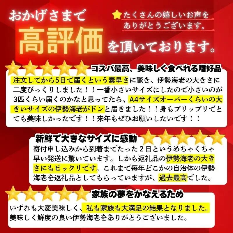 【伊勢海老】 【年末予約配送･31日着】特大伊勢海老 5匹