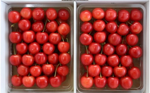 08-09-001　さくらんぼ(佐藤錦)700g