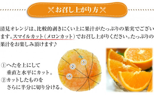 清見オレンジ 約5kg / 果実サイズおまかせ ※2027年2月中旬～2027年4月下旬頃に発送予定　紀伊国屋文左衛門本舗【kstb400B】