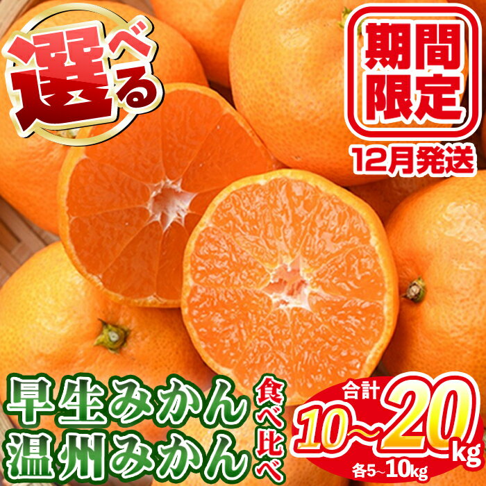 【ふるさと納税】＜先行予約受付中！2025年12月上旬以降順次発送予定＞＜容量が選べる！＞数量限定！早生・温州ミカン食べ比べセット(合計10〜20kg) 国産 フルーツ 果物 蜜柑 柑橘【三笠農業生産】