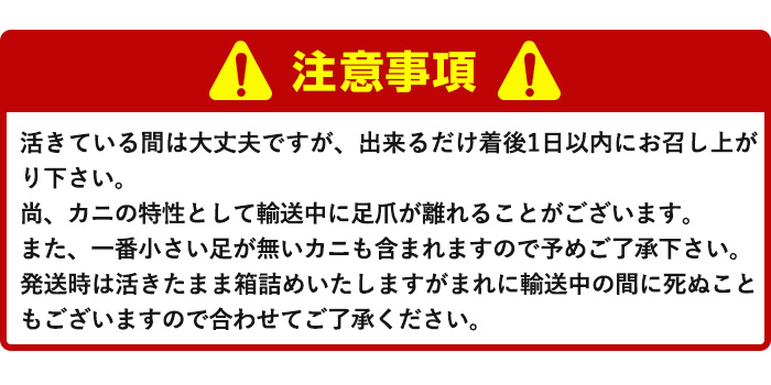 ＜先行予約受付中！11月中旬～3月下旬発送予定＞＜期間限定＞活松葉ガニ 特々大 1.2kg【sm-BE003】【川口商店】