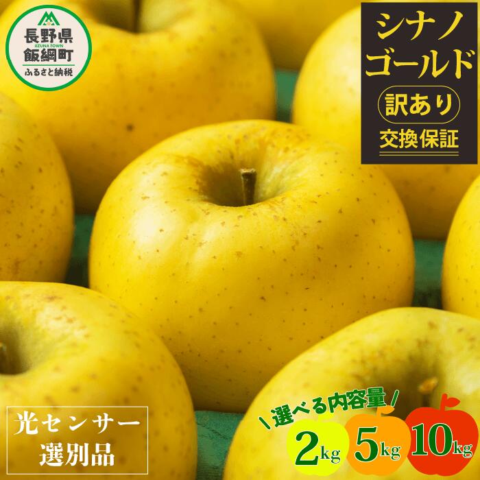 【ふるさと納税】 りんご 信州 訳あり 10kg 5kg 2kg 果物 長野 シナノゴールド 交換保証 感謝りんご 光センサー 不揃い 規格外 傷あり 家庭用 フルーツ 林檎 人気 黄色 11月 11月発送 R7年11月上旬頃～11月下旬頃発送予定 長野県 飯綱町
