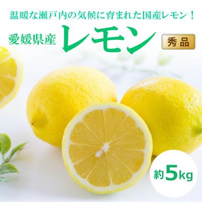 ふるさと納税 松山市 瀬戸内海の島レモン(秀品)約5kg