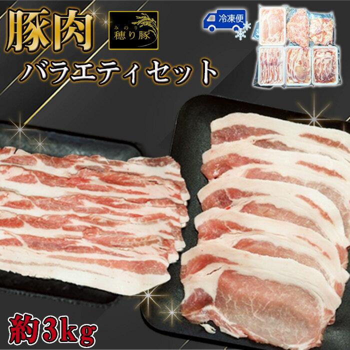 【ふるさと納税】No.841 坂東市産の豚肉バラエティセット　約3kg ／ 背ロース 肩ロース バラ もも 小間切れ ひき肉 うま味 ぶた 送料無料 茨城県