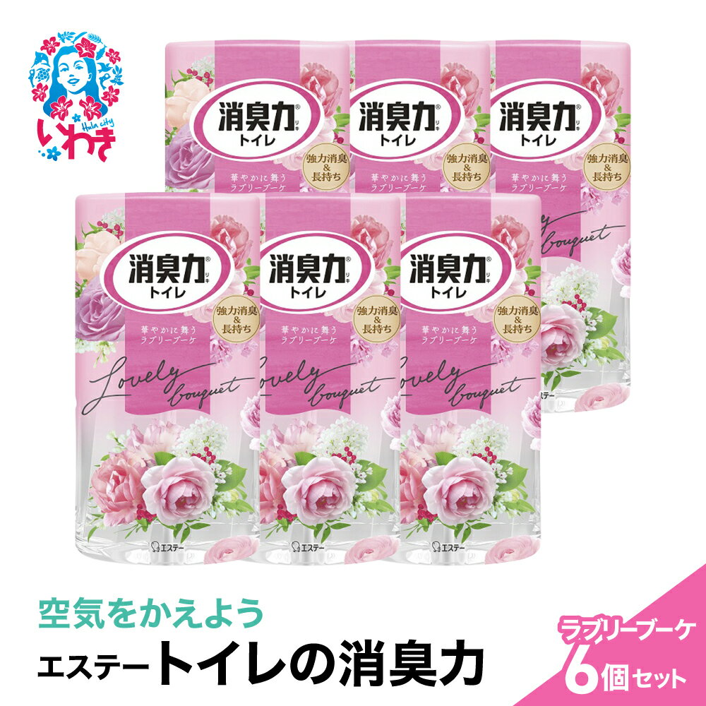 【ふるさと納税】空気をかえようエステー　トイレの消臭力　ラブリーブーケ6個セット | トイレの消臭力 消臭芳香剤 エステー製品 トイレ用消臭剤 ナノパウダー 強力消臭 長持ち香り 尿臭対策 ラブリーブーケ 消臭グッズ 消臭力シリーズ トイレ快適グッズ | NK011