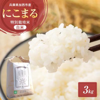 ふるさと納税 加西市 令和7年産 白米 3kg 特別栽培米 にこまる[No5698-1878]