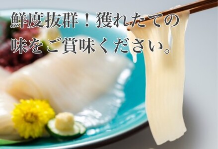 道水 真いかお造りジャングル1kg（500g×2袋） いか刺身 いかそうめん 完全無添加_HD108-012