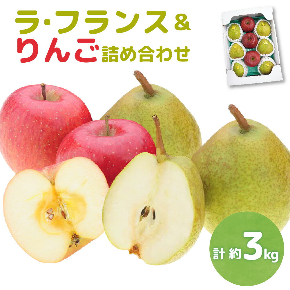 【ふるさと納税】【先行予約】 令和8年産 ラ・フランス & りんご 詰め合わせ 計 約3kg ラ・フランス 6玉 りんご 3玉 2026年11月上旬～12月上旬 お届け予定 山形県 米沢市