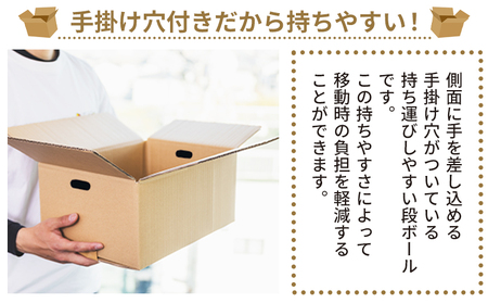梱包用ダンボール ６０サイズ 20枚 - 国産 厚さ3mm 段ボール 荷物 発送 引っ越し 便利 収納 整理 フリマサイト 通販 配送 梱包 郵便 規定サイズ 防災 タケナカダンボール 高知県 香南市