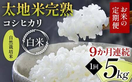 お米の定期便 自然栽培米 太地米完熟 【こしひかり】 白米5kg×9か月連続 ブランド米 お米 精米 白米 人気 F7X-0446