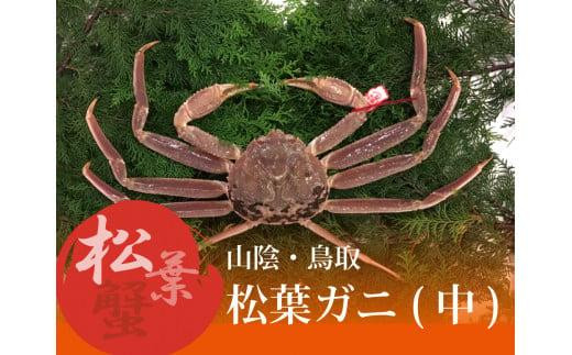 
                  特選とっとり松葉ガニ (中)【山根商店】
                
