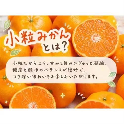 【2026年11月下旬より発送】有田の小粒みかん5kg　(S～3Sサイズ混合)【1568350】