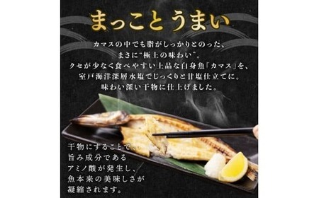 【定期便 6回 寄数月】干物 トロカマス カマス かます 8枚 冷凍 人気 干物 大容量 魚介 海鮮 惣菜 白身魚 室戸海洋深層水 高知県室戸市 ご飯のお供 晩酌 酒の肴 おつまみ 朝食 BBQ キャ