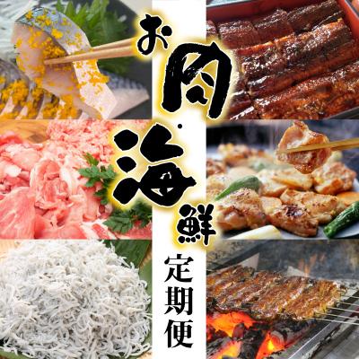 ふるさと納税 碧南市 【お試し】お肉・海鮮　定期便(全6回お届け)  H028-085