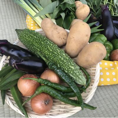 ふるさと納税 鹿嶋市 【発送月固定定期便】【ハーフサイズ】身体が喜ぶ野菜(おまかせ6〜7品)全10回 |  | 01