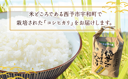 ＜令和7年産 西予市宇和町産 特別栽培米コシヒカリ 10kg＞ お米 コメ こめ 白米 精米 ご飯 白飯 ごはん ライス 穀物 こしひかり コシヒカリ 朝食 低農薬 特産品 愛媛県産 西予市産 宇和町