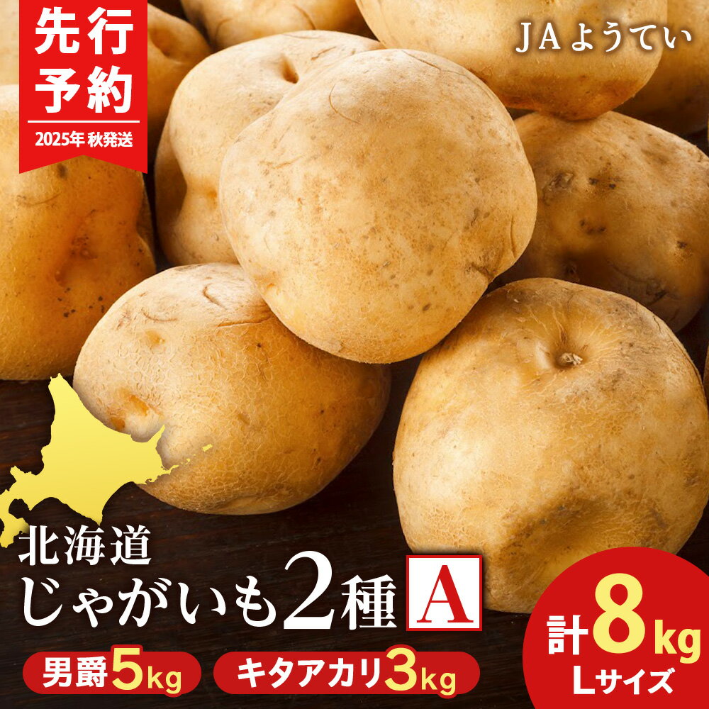 【ふるさと納税】【2025年秋発送予約】じゃがいも2種 馬鈴薯（男爵5kg＆キタアカリ3kg） Lサイズ 合計8kg＜JAようてい＞じゃがいも 芋 秋じゃが 野菜 ポテト 北海道 国産北海道ふるさと納税 ふるさと納税 北海道 黒松内町 通販 ギフト 贈答品 贈り物