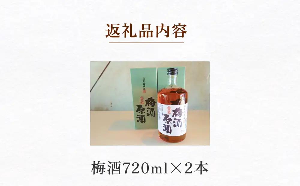 氷見稲積梅酒 原酒 2本セット（720ml×2本） ｜添加物不使用 富山県固有種 稲積梅使用 