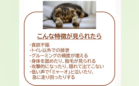 獣医師監修 ネコ体毛ホルモン量測定キット コルチゾール ネコの慢性ストレスチェック 簡単測定 検査キット