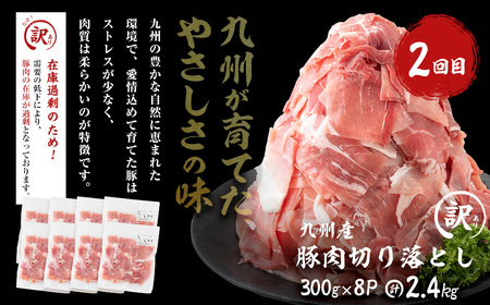 【ふるなび限定】 【定期便全2回】 黒毛和牛・九州産豚肉 ごちそう定期便 (2ヵ月連続・計2.8kg) FN-Limited-SP t0031-003
