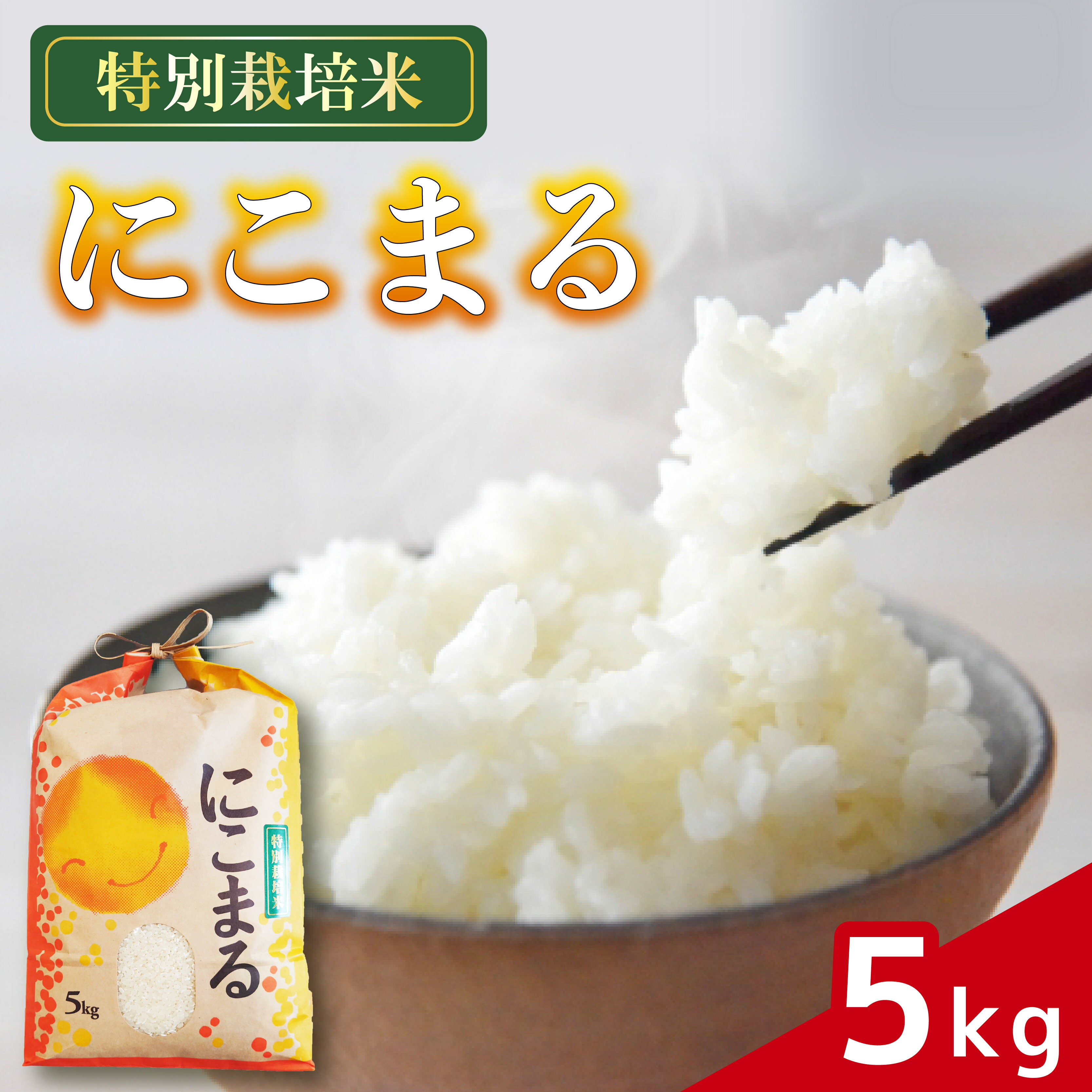 【ふるさと納税】 米 にこまる 5kg 農家直送 特別栽培米 精米 令和7年度産 お米 贈り物 人気米 ご飯 白米 コメ 贈答 静岡県 藤枝市