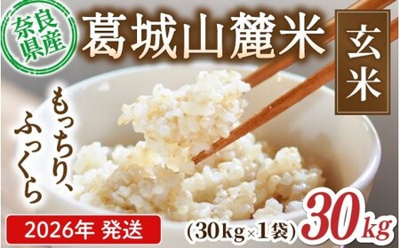 玄米 先行予約 葛城山麓米 ヒノヒカリ（玄米）計30kg [ 30kg×1袋 ] 令和8年産 【2026年10月下旬～順次発送】 葛城市【smlk027】
