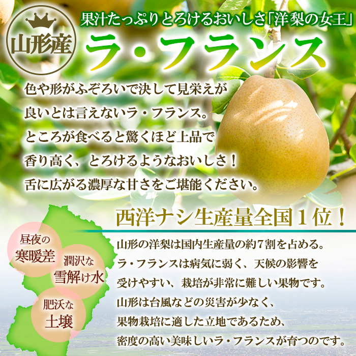 山形市産【高糖度ラフランス】特秀品 2kg (5～8玉) 極上フル