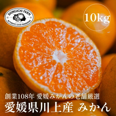 【ふるさと納税】愛媛みかんの老舗厳選【愛媛県川上産 みかん10kg】新口農園【E70-3】【1440739】