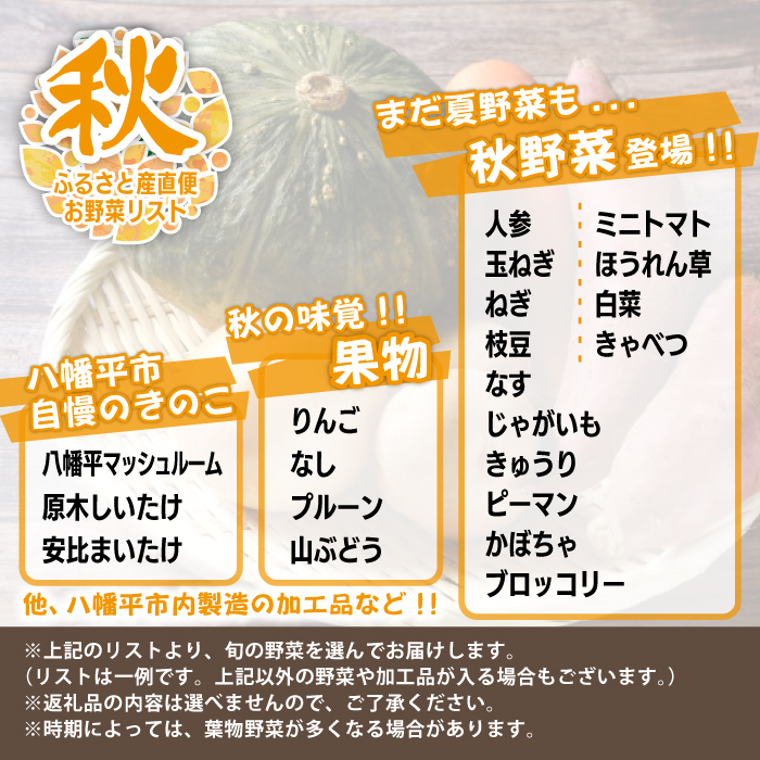 【旬野菜お届け】八幡平のふるさと産直箱（小）6ヶ月定期便 ／ 産地直送 新鮮 野菜 【あすぴーて】