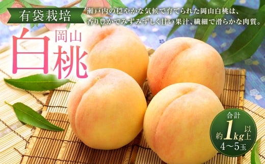 岡山 白桃 4～5玉 （合計1.0kg以上） 【2026年7月上旬～8月上旬 発送予定】 桃 もも モモ 果物 果実 フルーツ 岡山県 奈義町 冷蔵