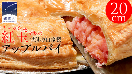 アップルパイ （ ホール 直径 20ｃｍ ） 自家製 ケーキ パイ おやつ 焼菓子 焼き菓子 リンゴ スイーツ ホール お取り寄せ お菓子 洋菓子 紅玉りんご ギフト 贈り物 [BL001tu]