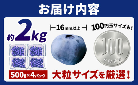 【2026年先行予約】ブルーベリー 大粒 計2kg (500g×4パック) 大粒ブルーベリーの宝石箱 かさおか青空ファーム 《2026年6月上旬-8下旬頃出荷》 岡山県 笠岡市 送料無料 フルーツ 果