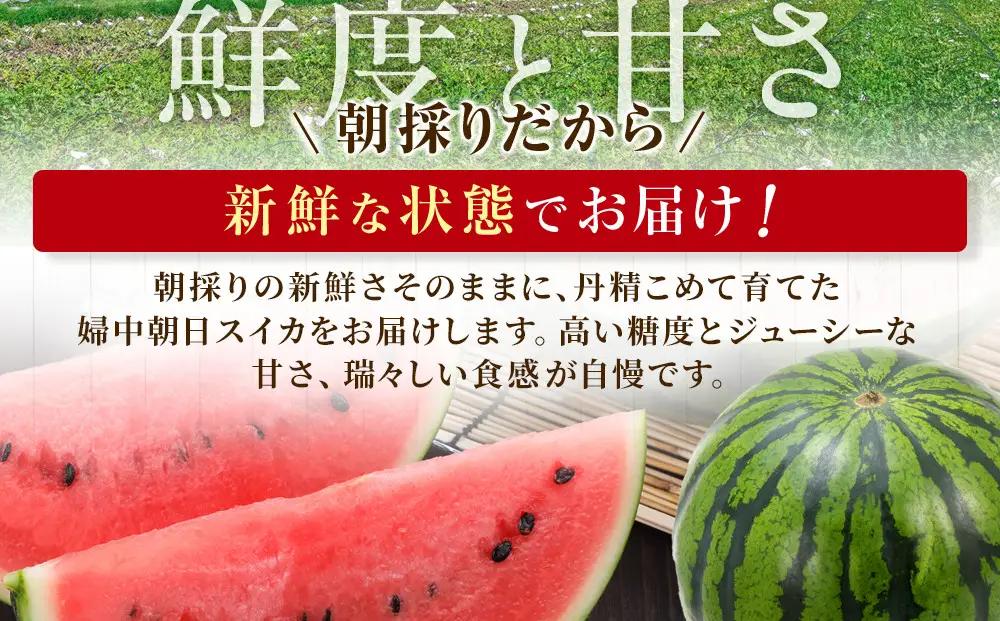 【先行予約】 朝採り！ 富山市婦中町特産「朝日すいか」１玉(約７～８kg)【2026年7月頃〜8月中旬頃まで順次発送】　産地直送 大玉